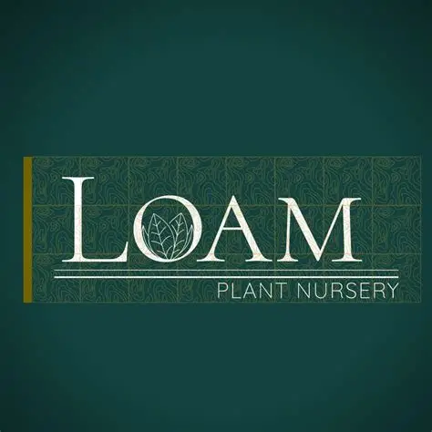 Loam