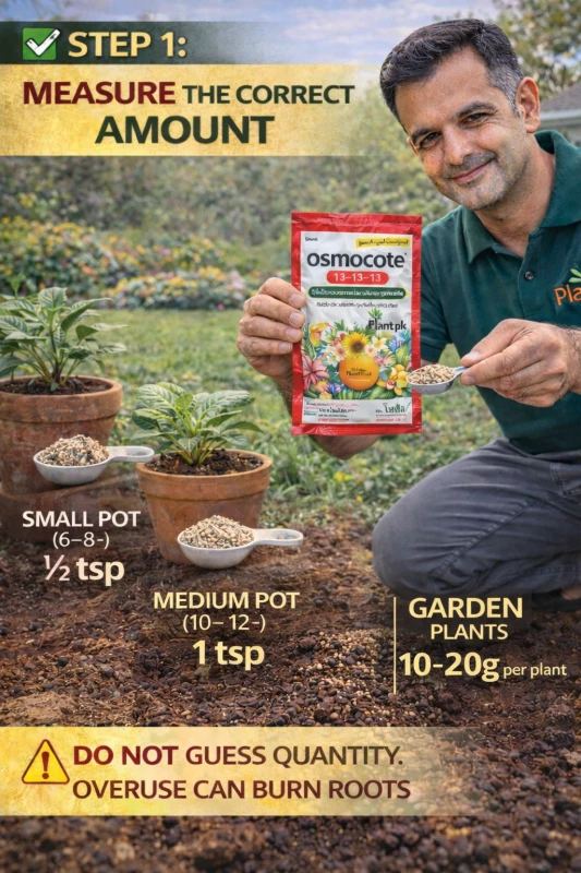 Imported NPK Fertilizer (Osmocote 13-13-13) – Thailand