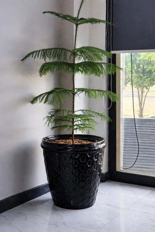 Ceramic Glazed Pot 27"