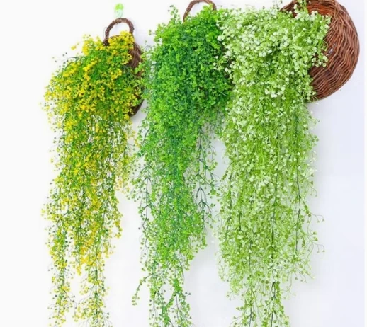 Hanging & Vertical Plants