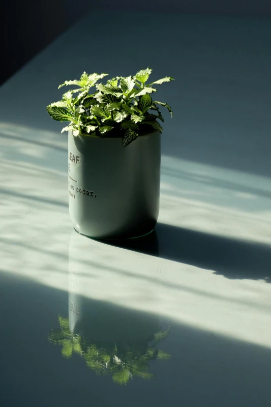 Unique & Conversation Starters